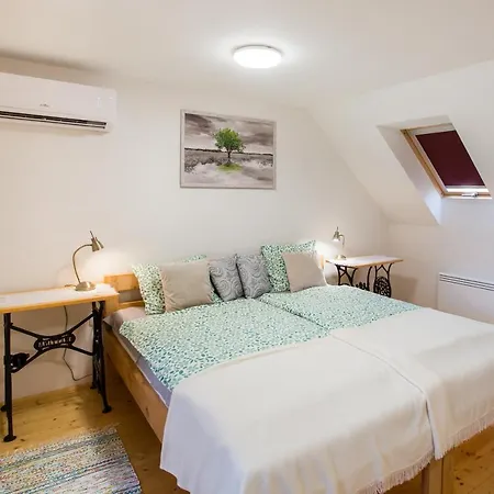 Bakony-cinca Vendeghaz Gasthuis