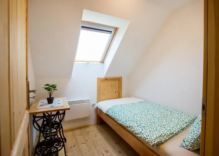 Bakony-cinca Vendégház